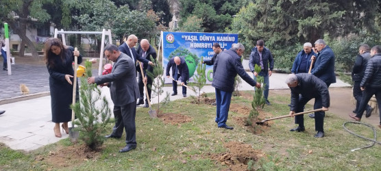 Nəsimi rayonunda “Yaşıl dünya naminə həmrəylik ili” çərçivəsində növbəti tədbir keçirilib.