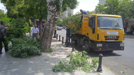 Rayonda küləyin fəsadlarının aradan qaldırılması istiqamətində tədbirlər görüldü