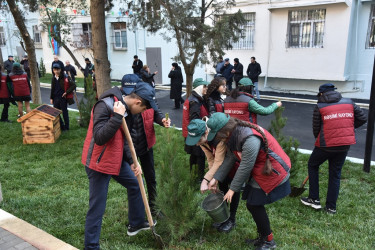 Nəsimi rayonunda növbəti “Abad həyət” sakinlərin istifadəsinə verilib.