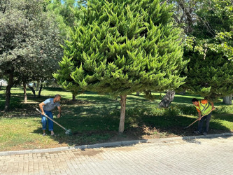 Zorge parkında cari təmir işləri aparılıb.