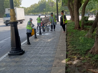 Nəsimi rayonunda növbəti iməcilik keçirilib