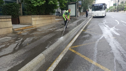 Nəsimi rayonunda növbəti iməcilik keçirilib