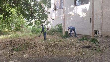 Nəsimi rayonunda növbəti iməcilik keçirilib