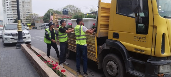 Rayon ərazisində  mərkəzi  küçə və prospektlərdə  qeyri-yaşayış obyektlərinin qarşısında gül dibçəkləri qoyulmuşdur.