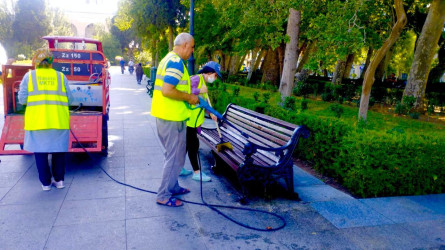 Nəsimi rayonunda növbəti ümumrayon iməciliyi keçirilib.