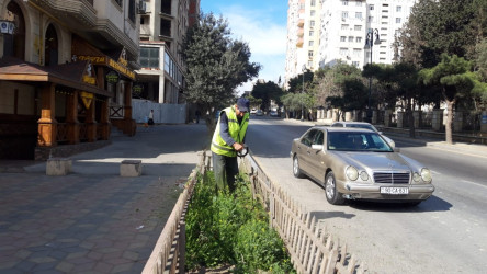 Rayon ərazisində yaşıllıqlara qulluq göstərilib.