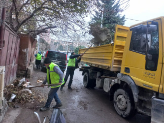 Nəsimi rayonunda növbəti iməcilik keçirilib