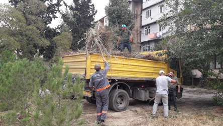 Rayon ərazisində  növbəti sanitar təmizlik işləri aparılıb.