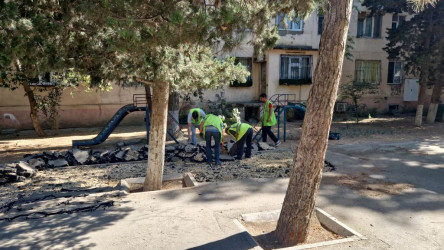 Nəsimi rayonu 3-cü mikrorayon Cavadxan küçəsi  26,30 saylı ünvanlarda abadlıq-quruculuq işlərinə başlanılıb.