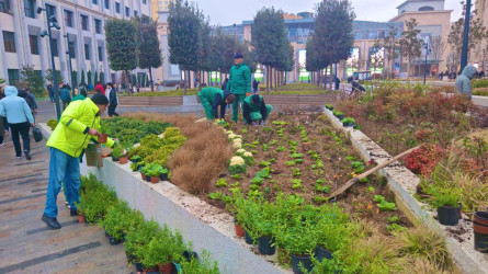 Nəsimi rayonunda başlanılmış abadlıq və təmir-bərpa işləri davam etdirilir.