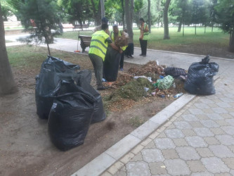 Rayonda növbəti iməcilik keçirildi.