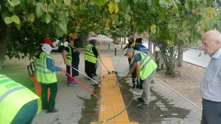 Rayonda iməcilik keçirildi