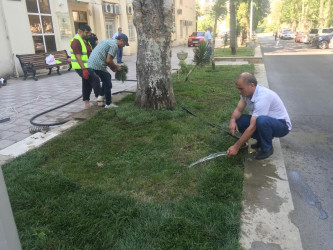 Parklarda və abad həyətlərdə yerləşən avadanlıqların cari təmir işləri aparılır.