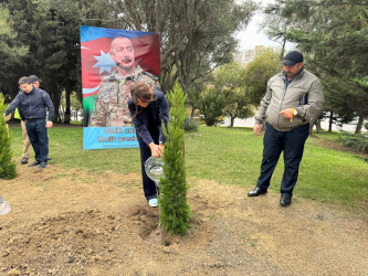 Nəsimi rayonunda Anım Günü ərəfəsində ağacəkmə aksiyası keçirilib.