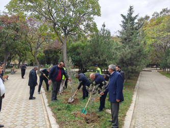 Nəsimi rayonunda   “Yaşıl dünya naminə həmrəylik ili” çərçivəsində növbəti ağacəkmə aksiyası  keçirilib