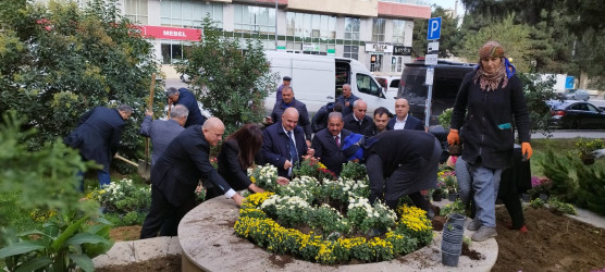 Nəsimi rayonunda “Yaşıl dünya naminə həmrəylik ili” çərçivəsində növbəti tədbir keçirilib.