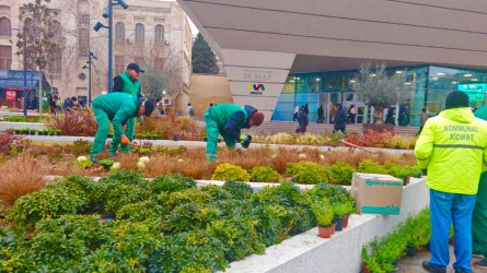 Nəsimi rayonunda növbəti iməcilik keçirilib