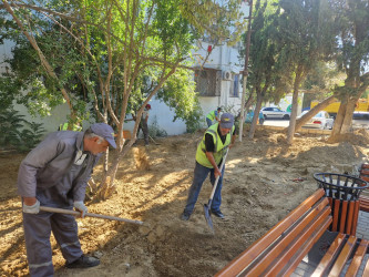 Cavadxan küçəsi 34 və 38 saylı ünvanda son tamamlanma işləri aparılır.