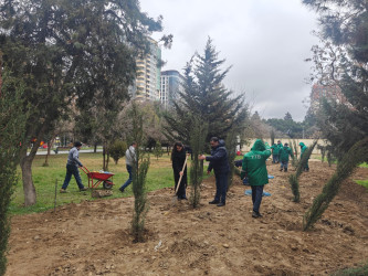 Nəsimi rayonunda növbəti iməcilik keçirilib