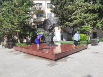 Nəsimi rayonunda növbəti iməcilik keçirilib
