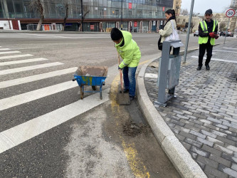 Nəsimi rayonunda genişmiqyaslı iməcilik keçirilib