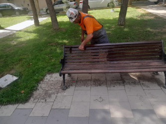 Nəsimi rayonunda növbəti iməcilik keçirilib
