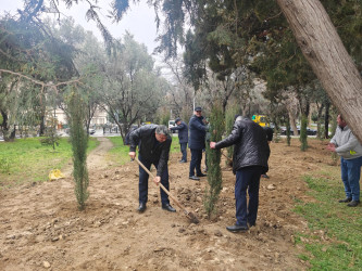 Nəsimi rayonunda növbəti iməcilik keçirilib