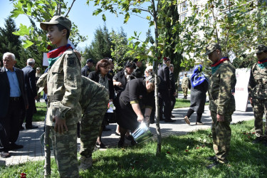 Nəsimi rayonunda 27 Sentyabr - Anım günü münasibətilə  rayon ərazisində yerləşən “Zəfər bağı”nda tədbir keçirilib.