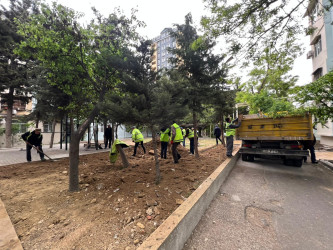 Cavadxan 28,32 saylı ünvanlarda abadlıq-quruculuq işləri davam edir.