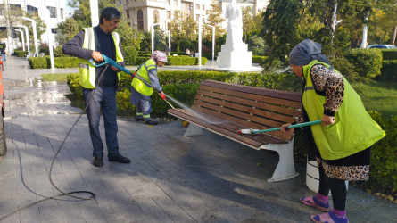 Nəsimi rayonunda iməcilik keçirilib.