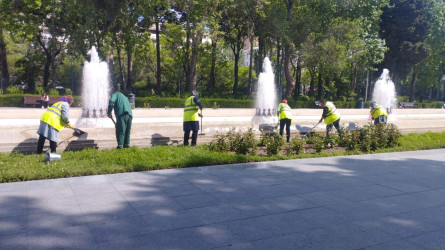 Nəsimi rayonunda növbəti ümumrayon iməciliyi keçirilib.