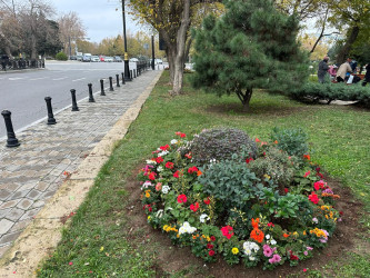Nəsimi rayonunda başlanılmış abadlıq və təmir-bərpa işləri davam etdirilir.