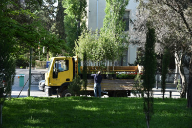 Ümummilli Lider Heydər Əliyevin anadan olmasının 102 - ci ildönümü münasibətilə ağacəkmə aksiyası keçirilib