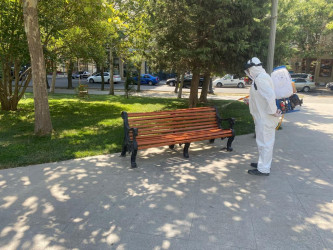 Nəsimi rayonunda parklarda təmizlik-dezinfeksiya tədbirləri görülüb