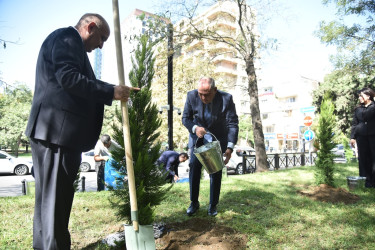 Nəsimi rayonunda 27 sentyabr - Anım Günü münasibətilə ağacəkmə aksiyası keçirilib.