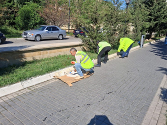 Nəsimi rayonunda yerləşən Zəfər bağında başlanılmış təmir işləri yekunlaşmışdır.