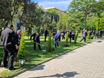 Ümummilli Lider Heydər Əliyevin anadan olmasının 101 illiyi ilə əlaqədar,  “Yaşıl dünya naminə həmrəylik ili” çərçivəsində ağacəkmə aksiyası keçirilib