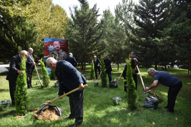 Nəsimi rayonunda 27 sentyabr - Anım günü münasibətilə ağacəkmə aksiyası keçirilib