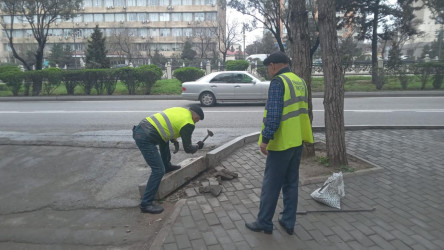 Nəsimi rayonunda genişmiqyaslı iməcilik keçirilib