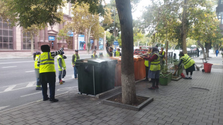 Nəsimi rayonunda növbəti iməcilik keçirilib