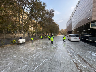 Nəsimi rayonunda növbəti iməcilik keçirilib