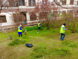 Nəsimi rayonunda növbəti ümumrayon iməciliyi keçirilib.