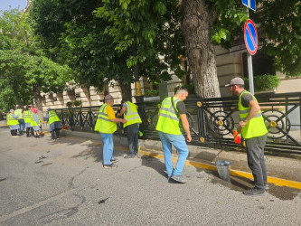Nəsimi rayonunda növbəti iməcilik keçirilib
