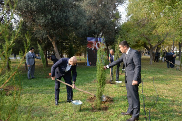 Nəsimi rayonunda Zəfər Günü münasibəti ilə ağacəkmə aksiyası keçirilib.