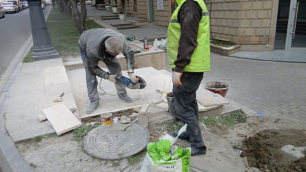 Bakıxanov küçəsi boyu parkda və səkilərdə cari təmir işləri aparılır