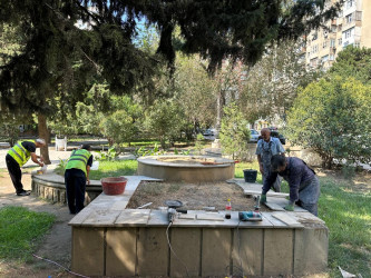 Mir Cəlal küçəsində yerləşən parkda cari təmir işləri aparılır.