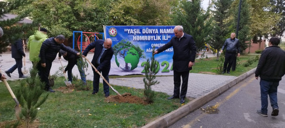 Nəsimi rayonunda “Yaşıl dünya naminə həmrəylik ili” çərçivəsində növbəti ağacəkmə aksiyası keçirilib.