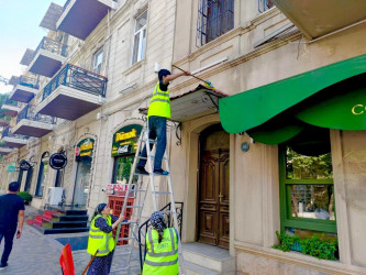 Nəsimi rayonunda növbəti ümumrayon iməciliyi keçirilib.