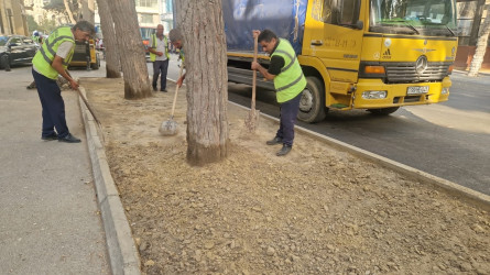 Rayonun Zərifə Əliyeva küçəsi boyu yaşıllıq zolaqlarına qulluq göstərilmiş və mövsümi güllər əkilmişdir.