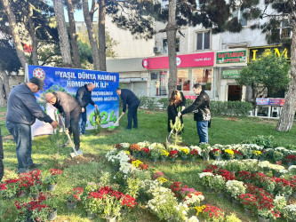 Nəsimi rayonunda “Yaşıl dünya naminə həmrəylik ili” çərçivəsində ağacəkmə aksiyası davam edir.